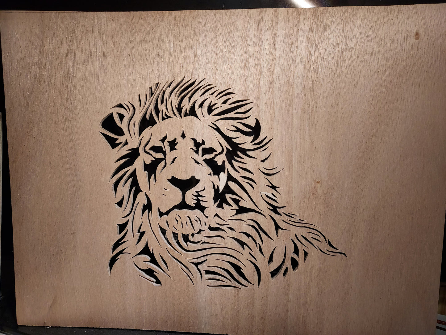 Lion tribal