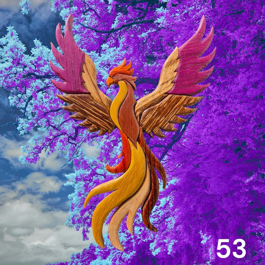 Phénix 53