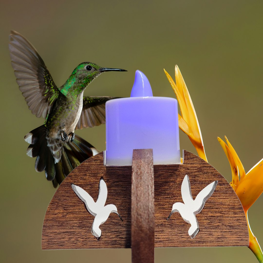 Boite du monde  "Geïsha et carpe koï" avec 2 bougeoir en Acajou et un plateau en teck huilé avec un velours rouge totalement naturelle et 2 bougie led changeant de couleurs offert